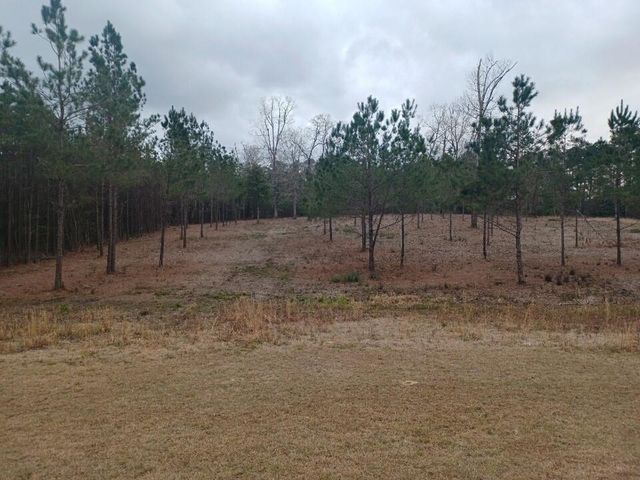 1038 SUSEK Drive, Pineville, LA 71360