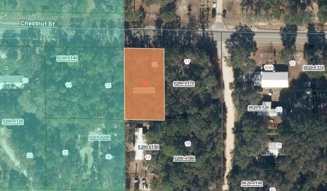 113 CHESTNUT STREET, Interlachen, FL 32148