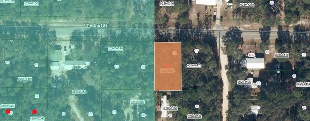 113 CHESTNUT STREET, Interlachen, FL 32148