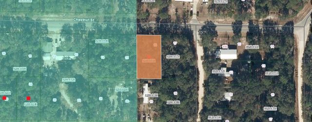 113 CHESTNUT STREET, Interlachen, FL 32148