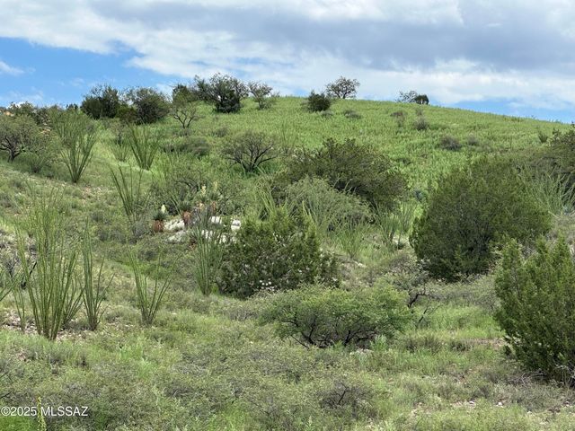 00 Proctor Lane D-1, Patagonia, AZ 85624