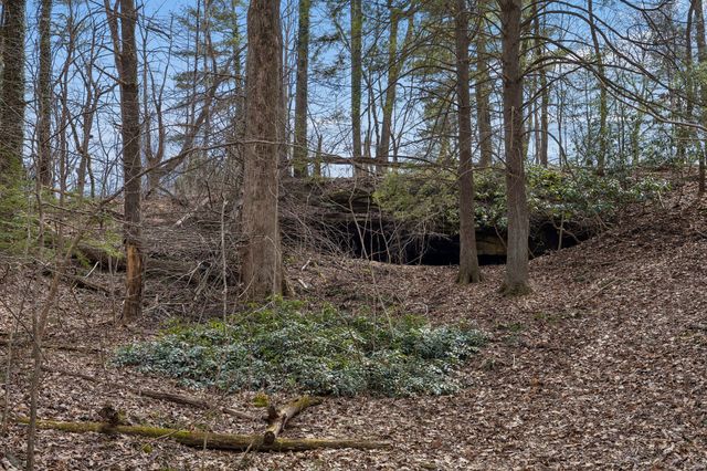 0 McGregor Lane, Mcminnville, TN 37110