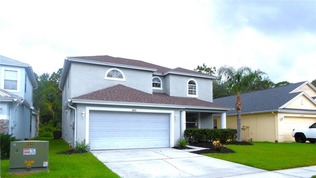 3203 SUNWATCH DRIVE, Wesley Chapel, FL 33544