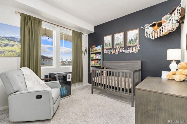 1805 Bounty Drive 3, Windsor, CO 80550