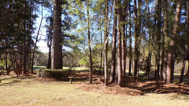 4036 Plantation House Road, Summerville, SC 29485