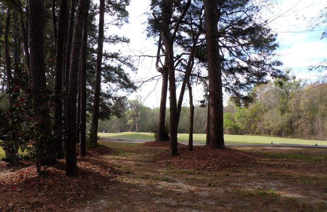 4036 Plantation House Road, Summerville, SC 29485