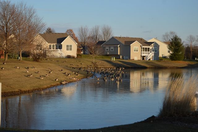 225 W WASHINGTON Street, Oswego, IL 60543