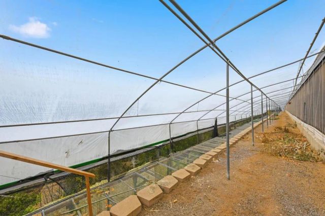 803 Road, Fallbrook, CA 92028