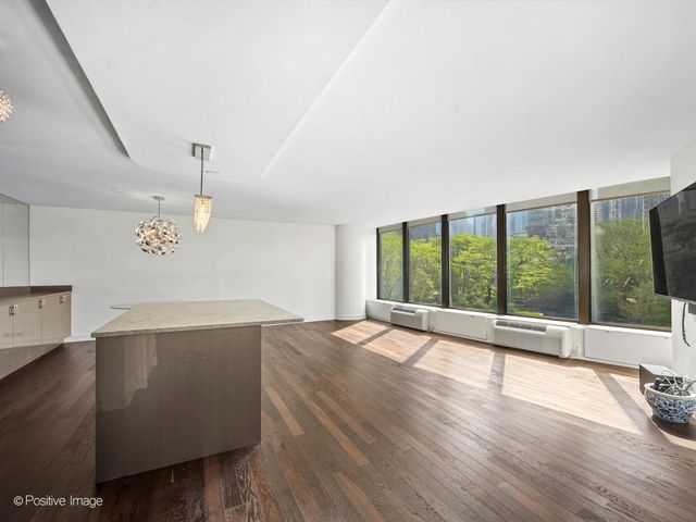 505 N Lake Shore Drive 501, Chicago, IL 60611