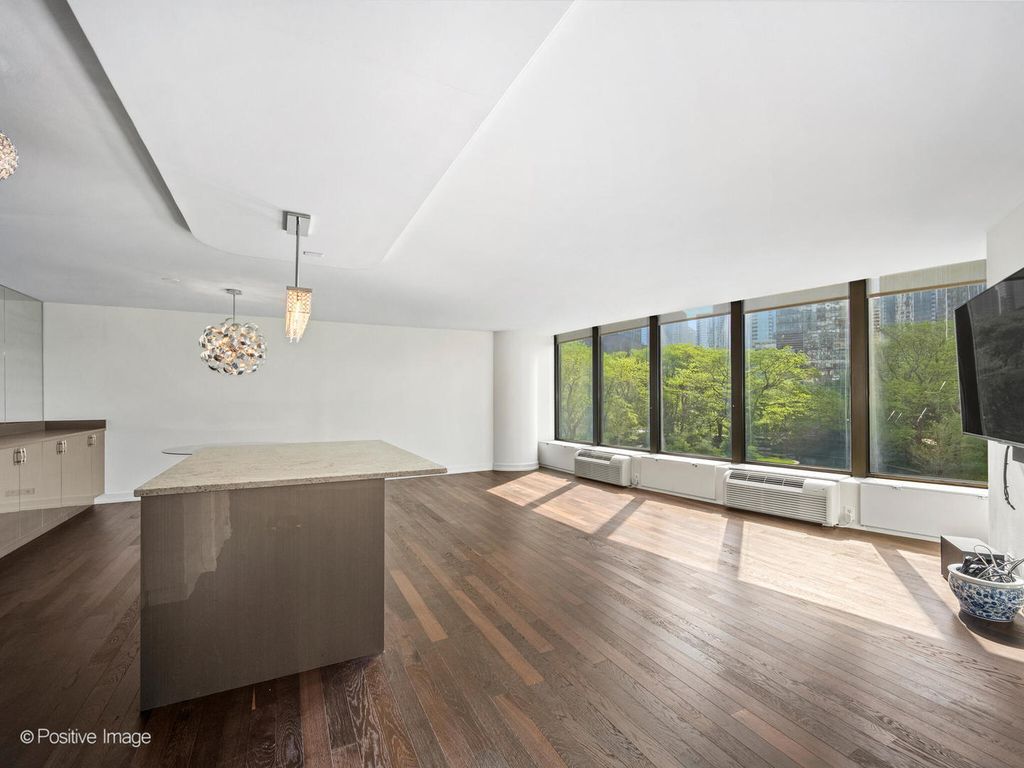 505 N Lake Shore Drive 501, Chicago, IL 60611 — photo 4