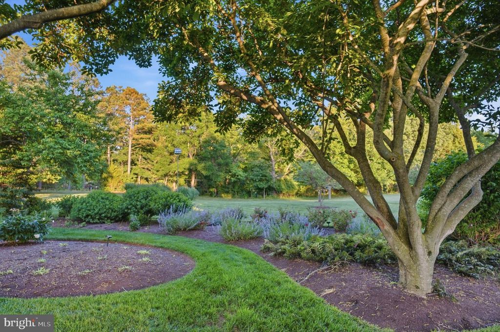 Image 49 of property listing at 2800 BENNETT POINT RD, Queenstown, MD 21658