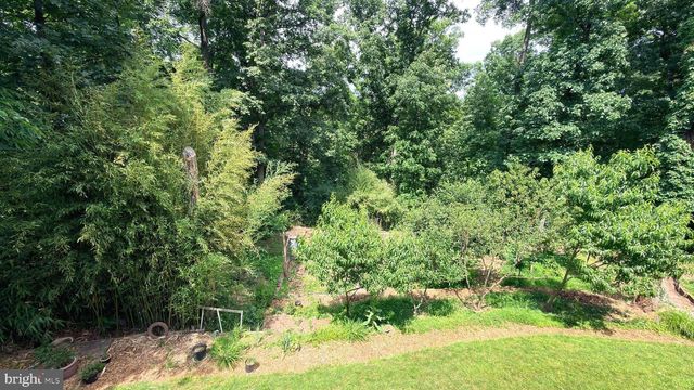 21004 STARFLOWER WAY, Ashburn, VA 20147