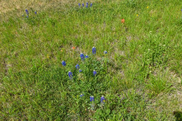 12236 1st Street, No City, TX 76825