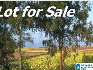 00 HIGHWAY 33, Pelham, AL 35124