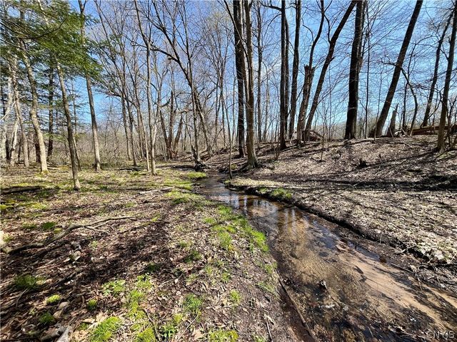 2011 Eno Road, Sterling, NY 13111