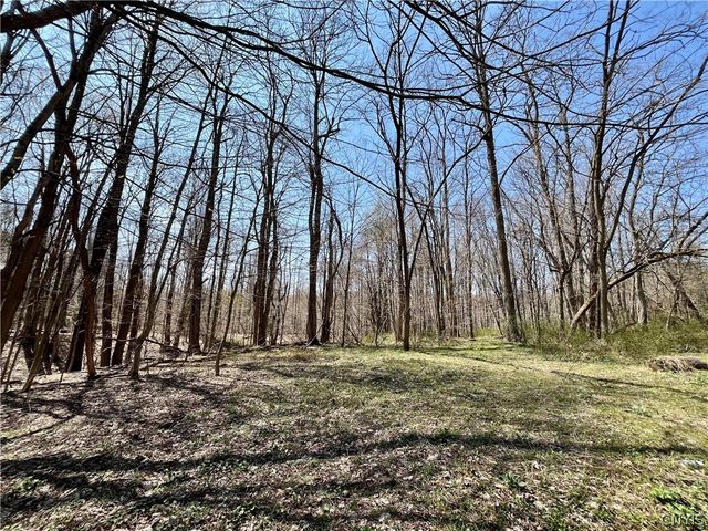2011 Eno Road, Sterling, NY 13111