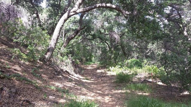 8742 Azul, West Hills, CA 91304