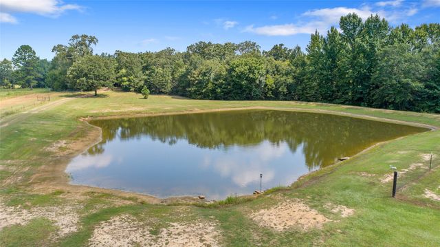 253 County Road 2412, Winnsboro, TX 75471