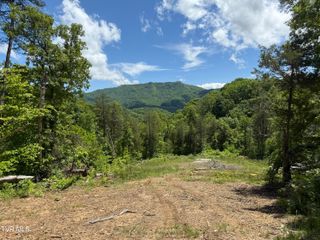146/Ac Tbd Simpson Loop, Rogersville, TN 37857