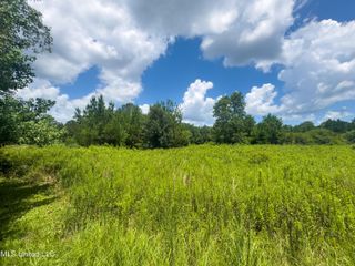 Ms-43, Poplarville, MS 39470