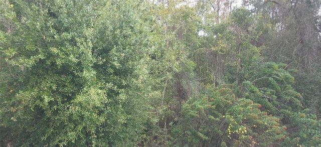 2142 PARK CRESCENT DRIVE, Land O Lakes, FL 34639