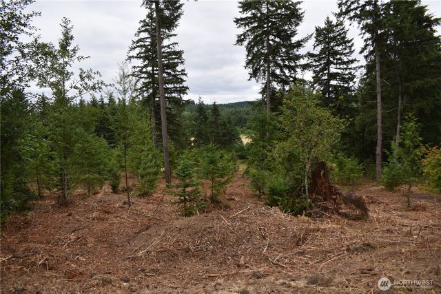 12345 Case Road SW, Olympia, WA 98512