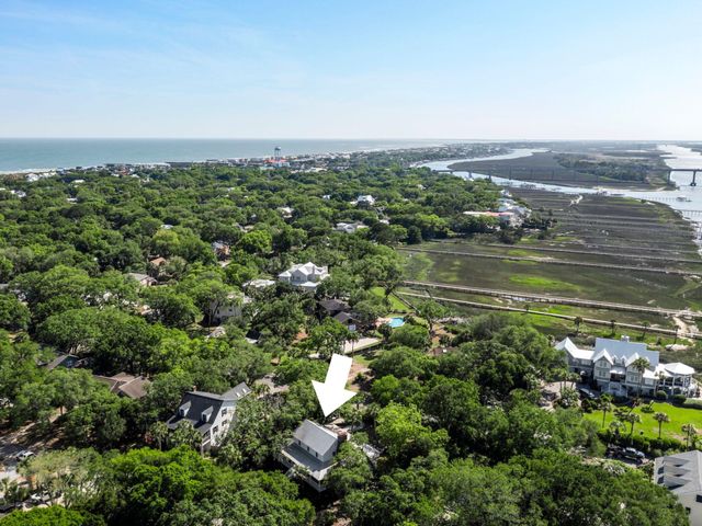 7 Tabby Lane, Isle Of Palms, SC 29451