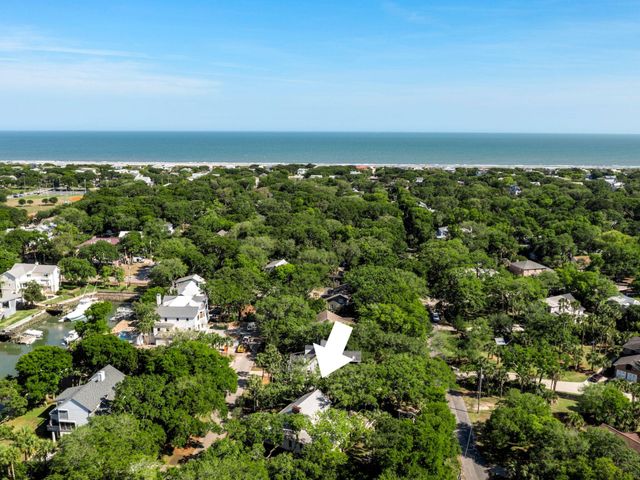 7 Tabby Lane, Isle Of Palms, SC 29451