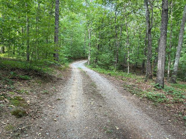170 County Road 709 Road, Riceville, TN 37370