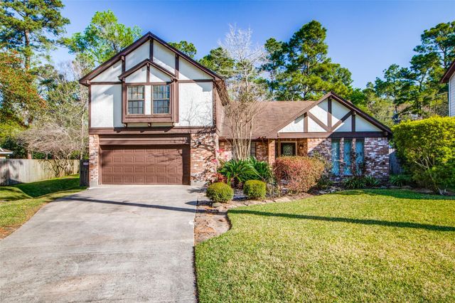 24 E Torch Pine Circle, The Woodlands, TX 77381
