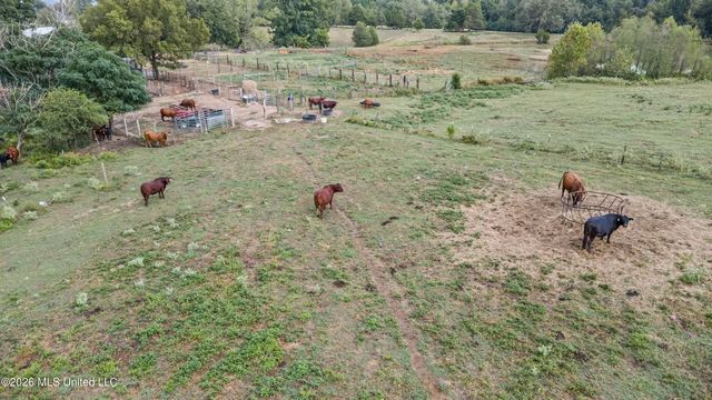 718 Mount Zion Road, Coldwater, MS 38618