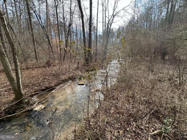 138 Rhondas Way 106, Ellijay, GA 30540