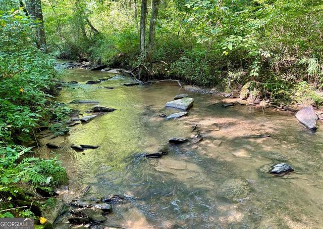 138 Rhondas Way 106, Ellijay, GA 30540