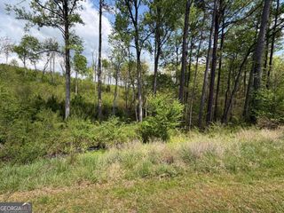 238 Lecroy Drive, Ellijay, GA 30540