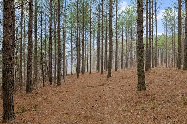 5370 River Bend Road, Guild, TN 37340