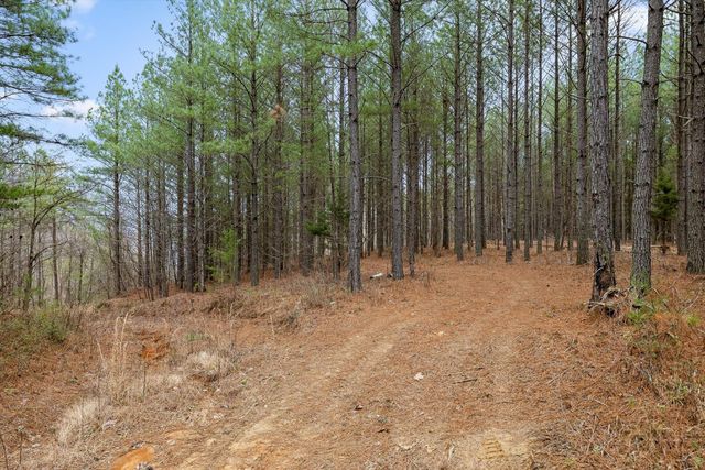 5370 River Bend Road, Guild, TN 37340