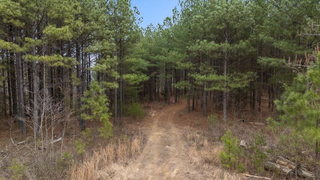 5370 River Bend Road, Guild, TN 37340