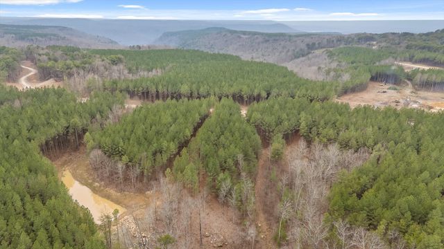 5370 River Bend Road, Guild, TN 37340