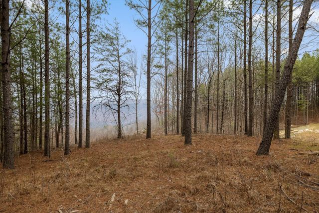 5370 River Bend Road, Guild, TN 37340
