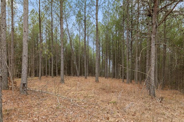 5370 River Bend Road, Guild, TN 37340