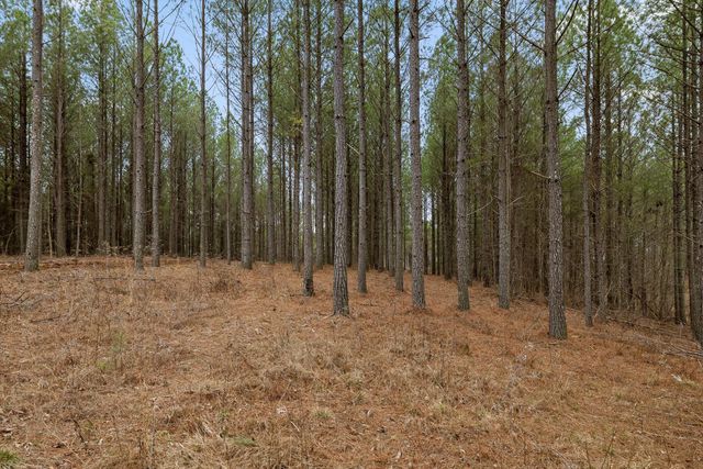 5370 River Bend Road, Guild, TN 37340