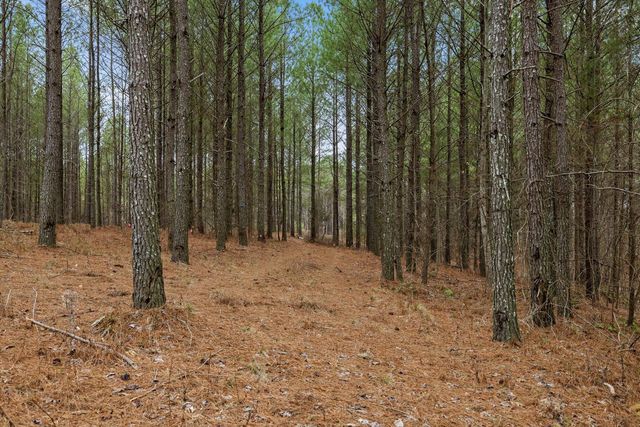 5370 River Bend Road, Guild, TN 37340