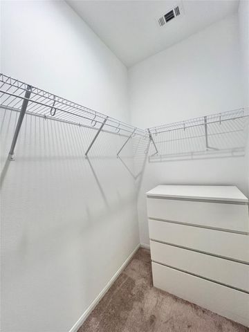 17835 Plow Horse Lane, Hockley, TX 77447