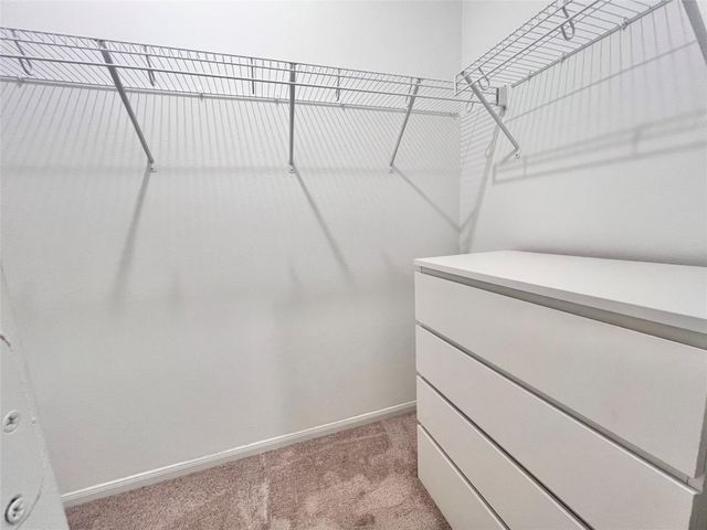 17835 Plow Horse Lane, Hockley, TX 77447