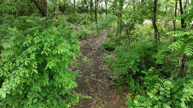 6031 Hill Cir, Nashville, TN 37209