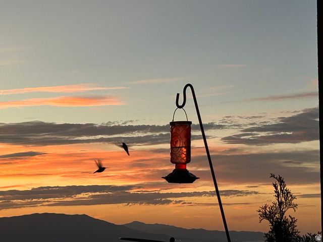 92 W SALEM HILLS DR, Elk Ridge, UT 84651