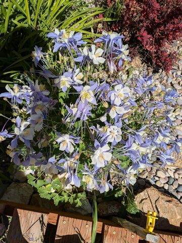 30 Mountain View Road, Sheridan, MT 59749