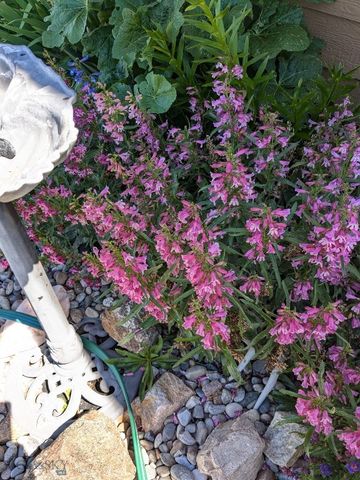 30 Mountain View Road, Sheridan, MT 59749