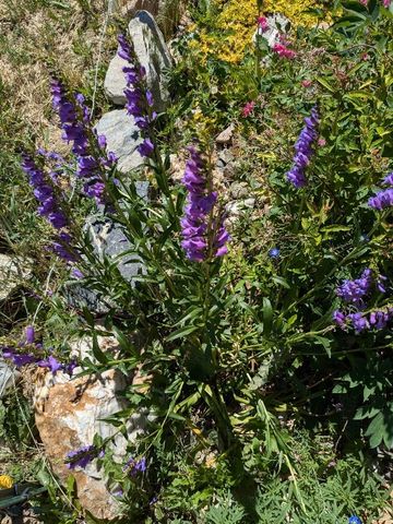 30 Mountain View Road, Sheridan, MT 59749