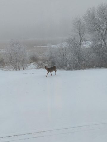 27196 Co Hwy 21, Detroit Lakes, MN 56501